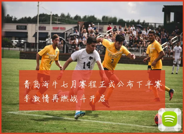 青岛海牛七月赛程正式公布下半赛季激情再燃战斗开启